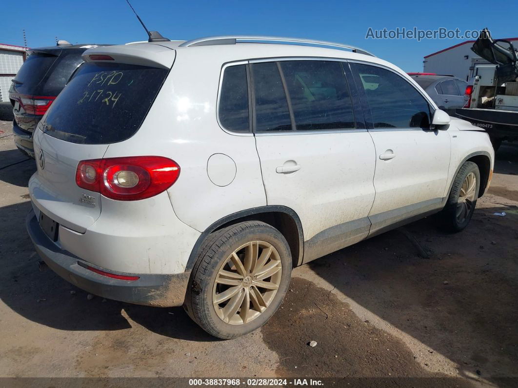 2010 Volkswagen Tiguan Wolfsburg Edition White vin: WVGBV7AX4AW537771