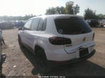 2013 Volkswagen Tiguan S W/sunroof Белый vin: WVGBV7AX4DW535684