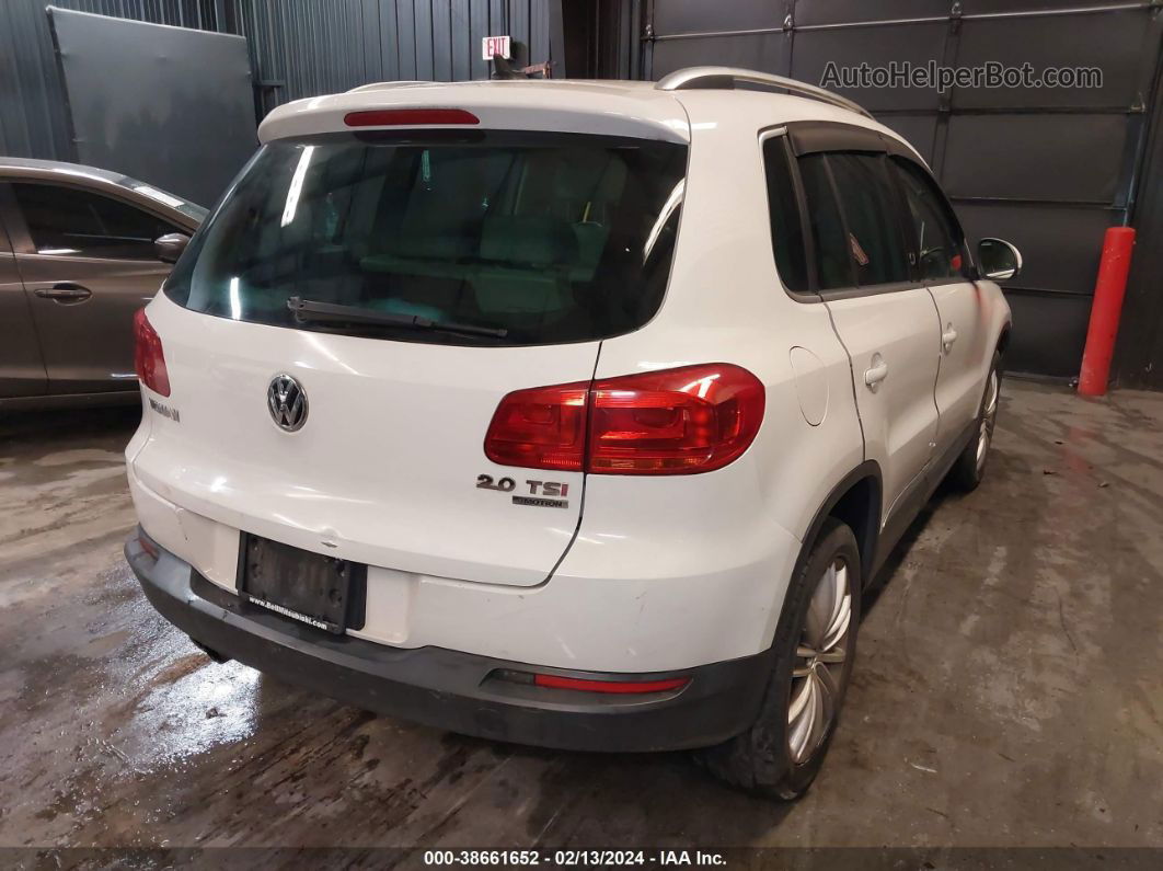 2013 Volkswagen Tiguan Se Белый vin: WVGBV7AX4DW538973