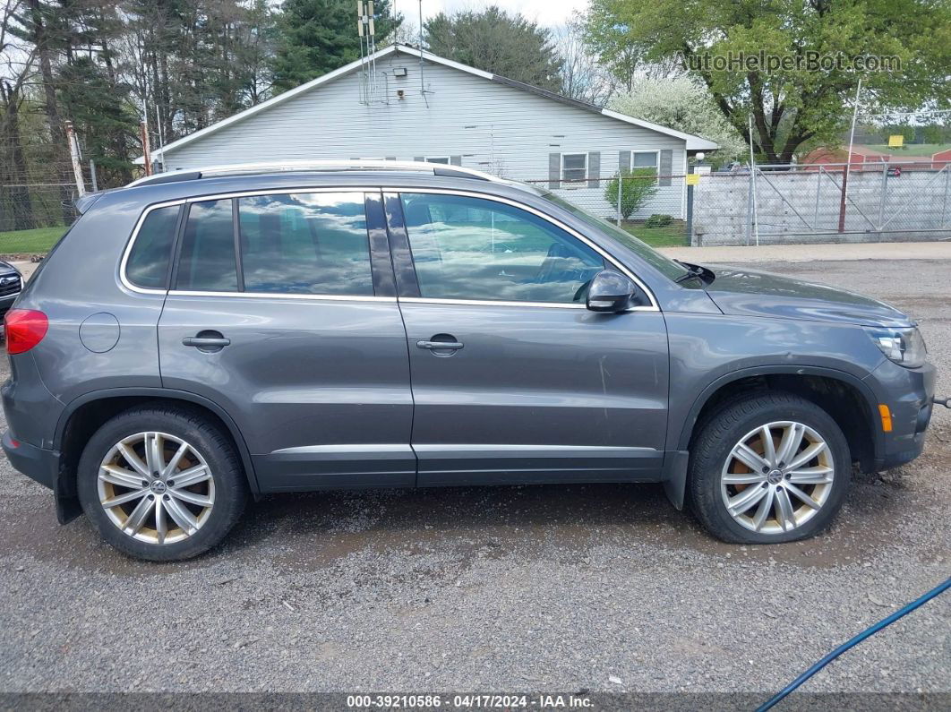 2016 Volkswagen Tiguan Se Pewter vin: WVGBV7AX4GW560122