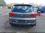 2016 Volkswagen Tiguan Se Pewter vin: WVGBV7AX4GW560122