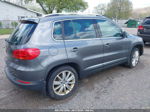 2016 Volkswagen Tiguan Se Pewter vin: WVGBV7AX4GW560122