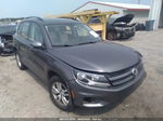 2016 Volkswagen Tiguan S Серый vin: WVGBV7AX4GW599826