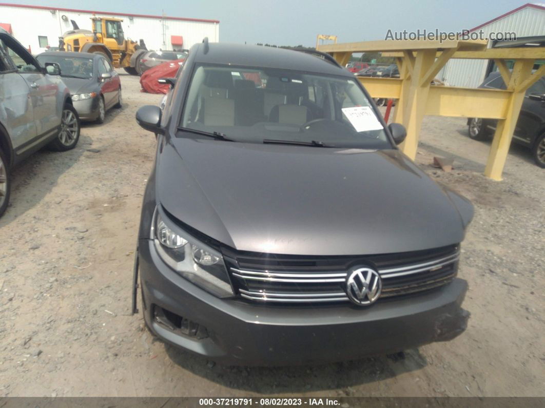 2016 Volkswagen Tiguan S Серый vin: WVGBV7AX4GW599826