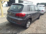 2016 Volkswagen Tiguan S Серый vin: WVGBV7AX4GW599826