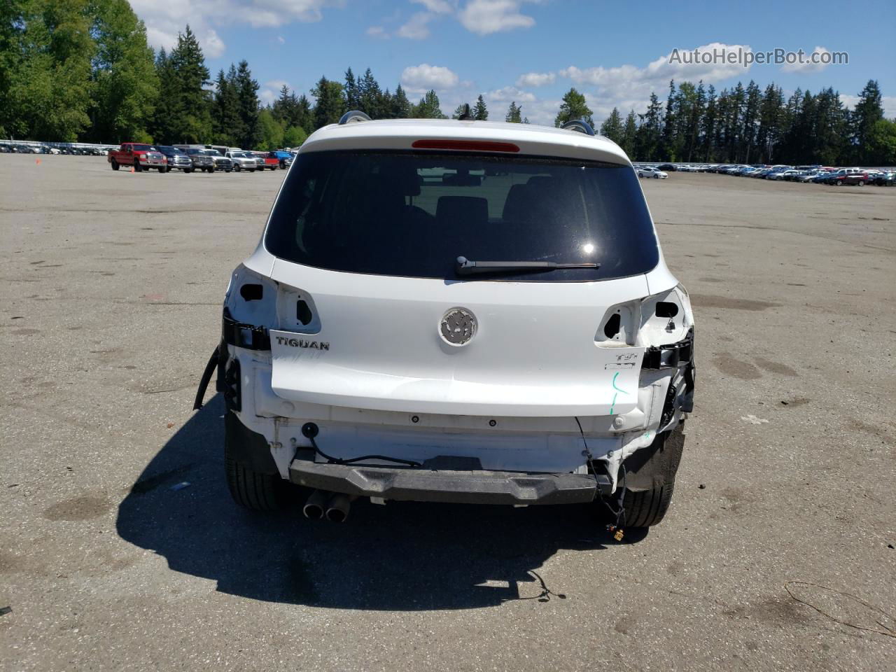 2017 Volkswagen Tiguan S White vin: WVGBV7AX4HK008063