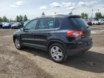 2010 Volkswagen Tiguan Se Black vin: WVGBV7AX5AW513222