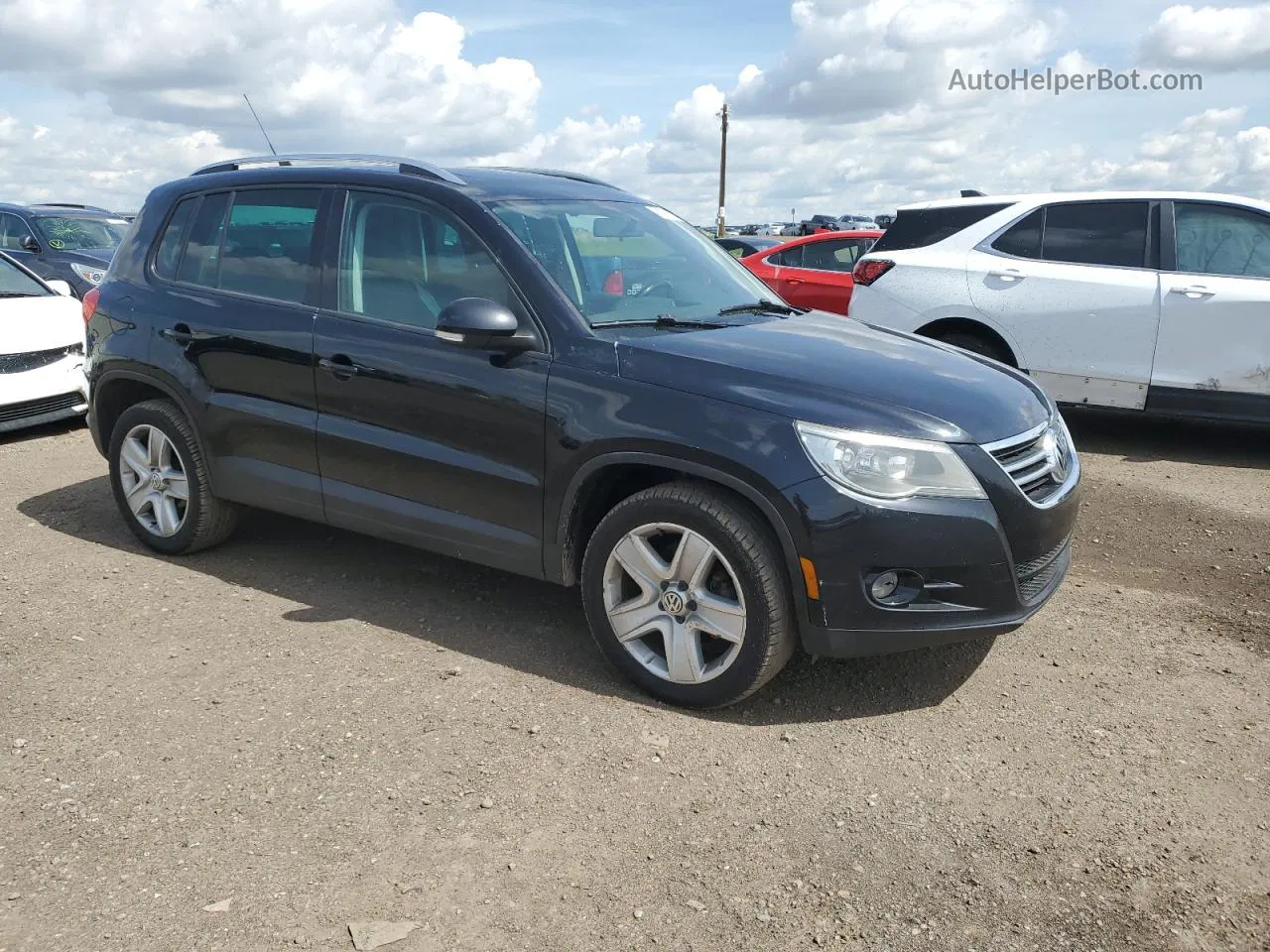 2010 Volkswagen Tiguan Se Black vin: WVGBV7AX5AW513222