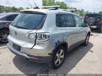 2010 Volkswagen Tiguan Wolfsburg Edition Silver vin: WVGBV7AX5AW520297