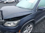 2016 Volkswagen Tiguan Sel Blue vin: WVGBV7AX5GW561750