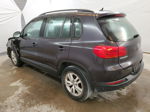 2016 Volkswagen Tiguan S Gray vin: WVGBV7AX5GW592514