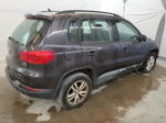 2016 Volkswagen Tiguan S Gray vin: WVGBV7AX5GW592514