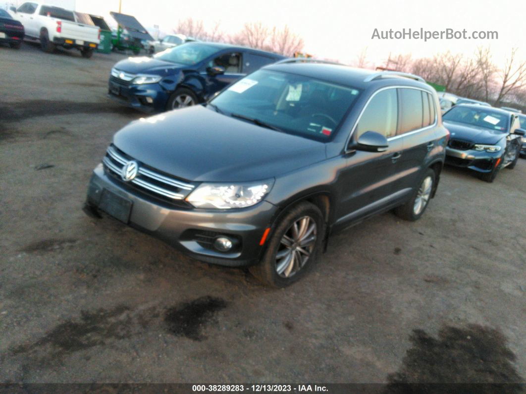 2016 Volkswagen Tiguan Se Gray vin: WVGBV7AX5GW609232