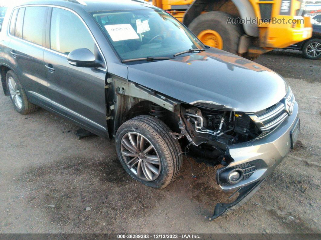 2016 Volkswagen Tiguan Se Gray vin: WVGBV7AX5GW609232