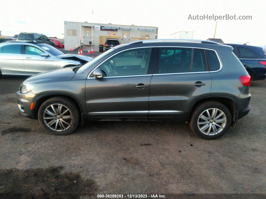 2016 Volkswagen Tiguan Se Gray vin: WVGBV7AX5GW609232