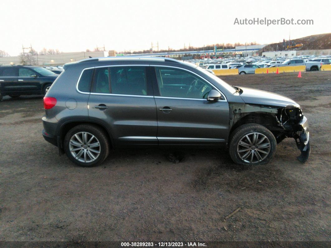 2016 Volkswagen Tiguan Se Gray vin: WVGBV7AX5GW609232