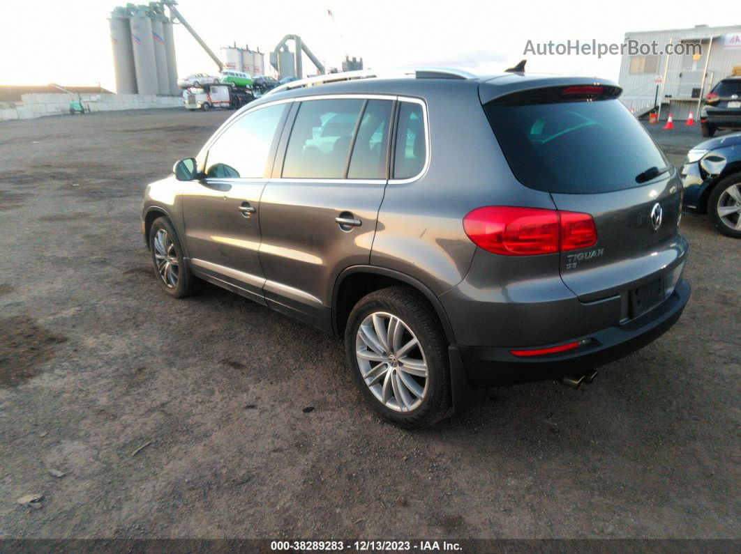 2016 Volkswagen Tiguan Se Серый vin: WVGBV7AX5GW609232