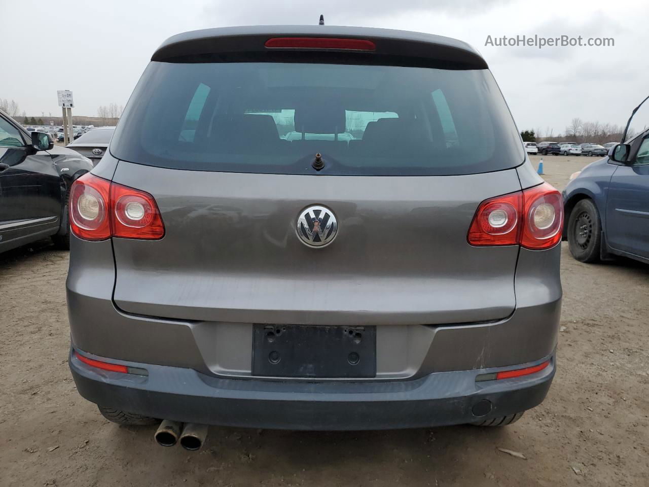 2010 Volkswagen Tiguan Se Серый vin: WVGBV7AX6AW513021