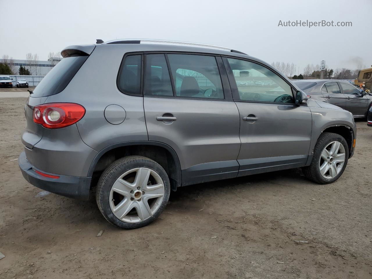 2010 Volkswagen Tiguan Se Серый vin: WVGBV7AX6AW513021