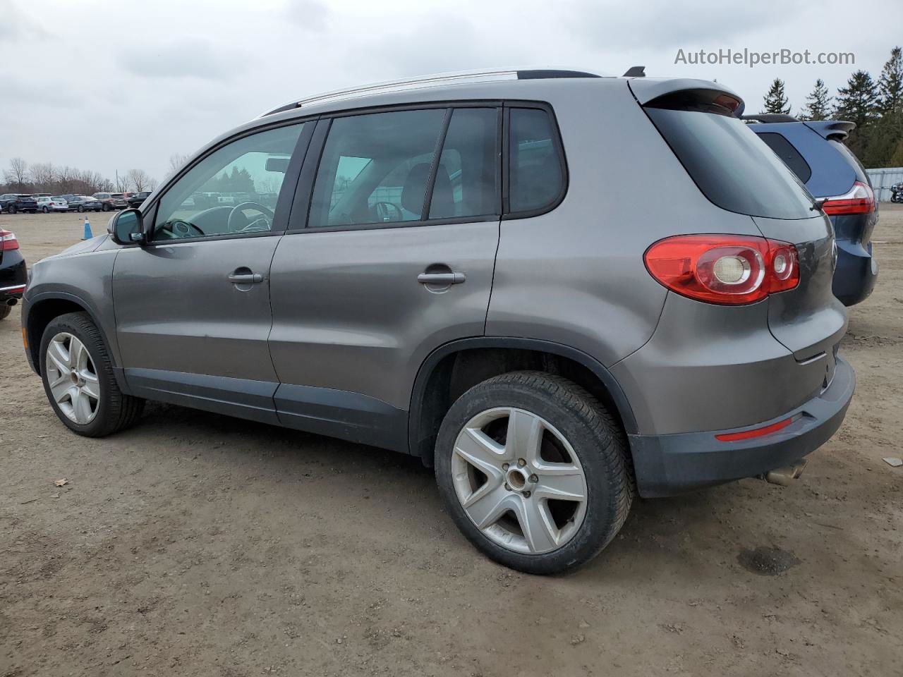 2010 Volkswagen Tiguan Se Серый vin: WVGBV7AX6AW513021