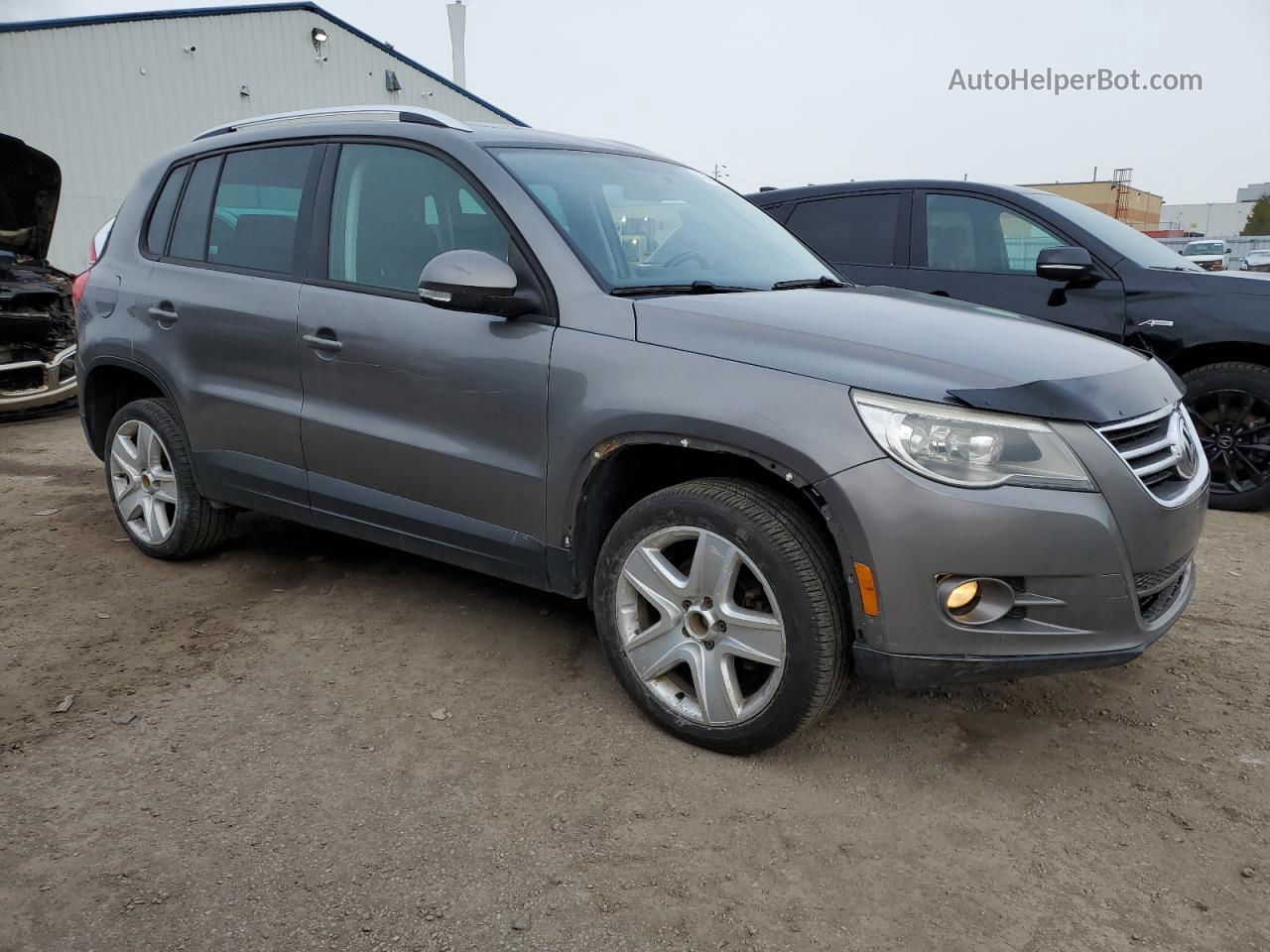 2010 Volkswagen Tiguan Se Серый vin: WVGBV7AX6AW513021