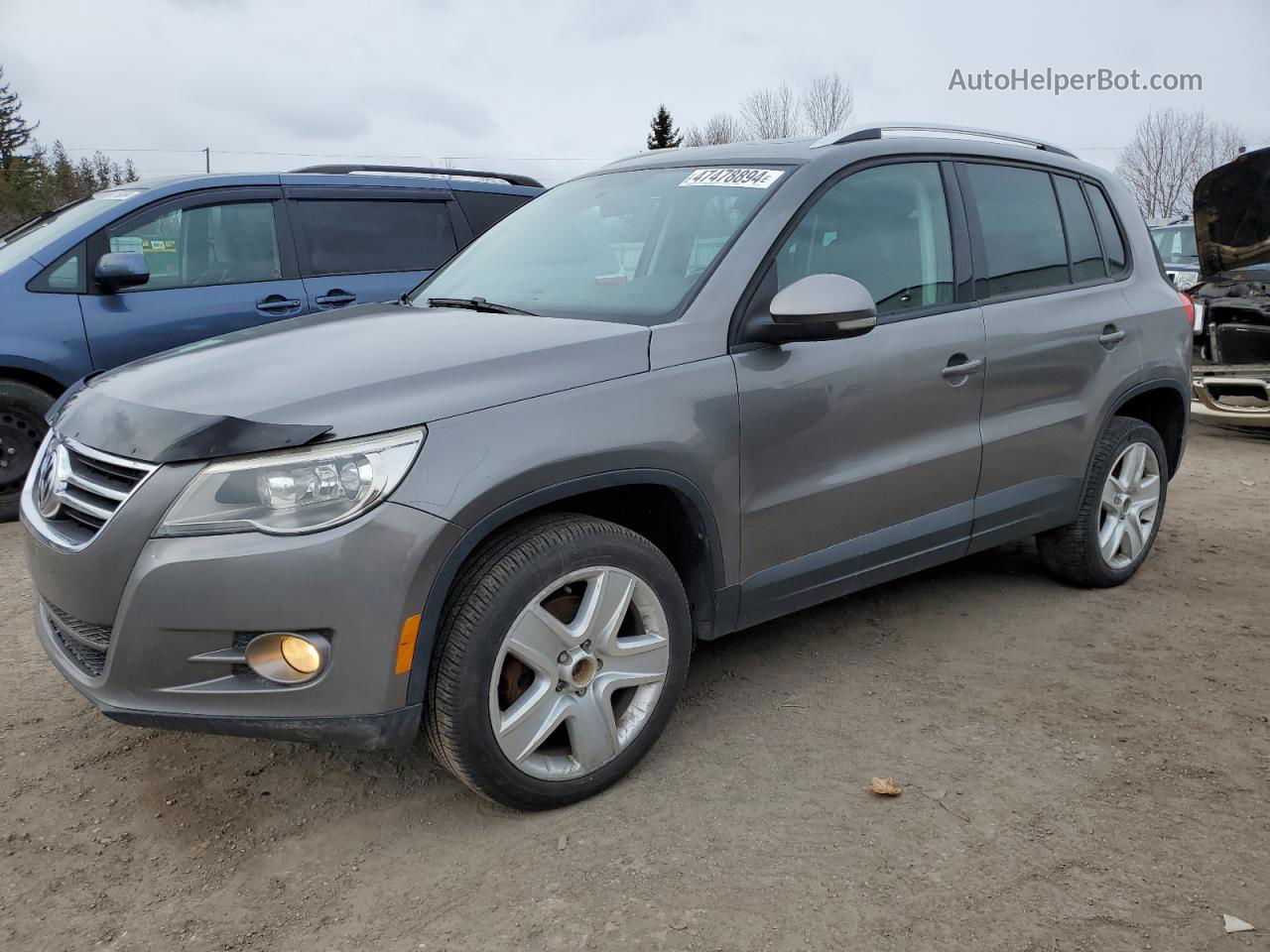 2010 Volkswagen Tiguan Se Серый vin: WVGBV7AX6AW513021