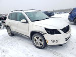 2010 Volkswagen Tiguan Se White vin: WVGBV7AX6AW527887