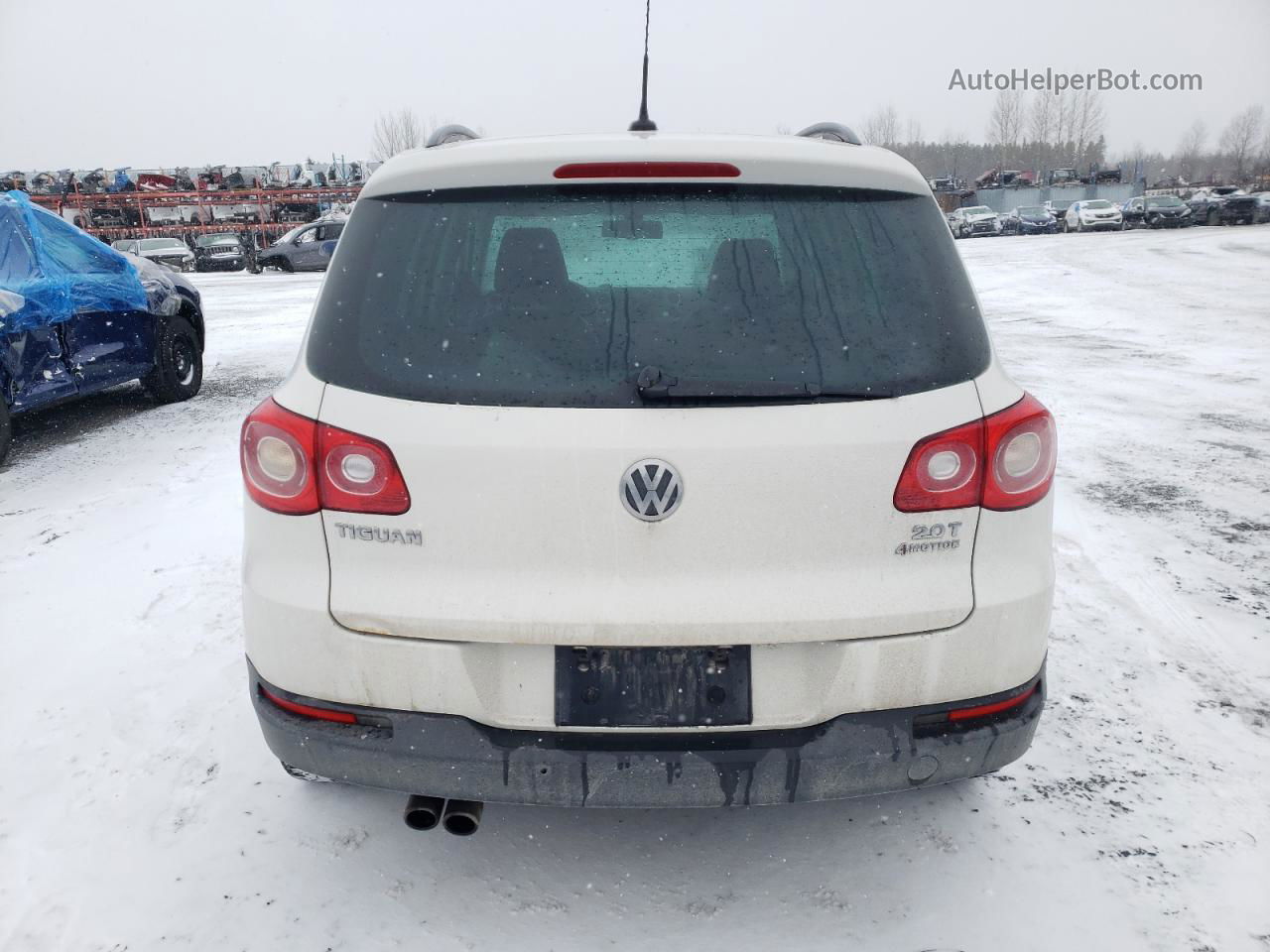 2010 Volkswagen Tiguan Se White vin: WVGBV7AX6AW527887