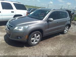 2010 Volkswagen Tiguan Wolfsburg Gray vin: WVGBV7AX6AW531129