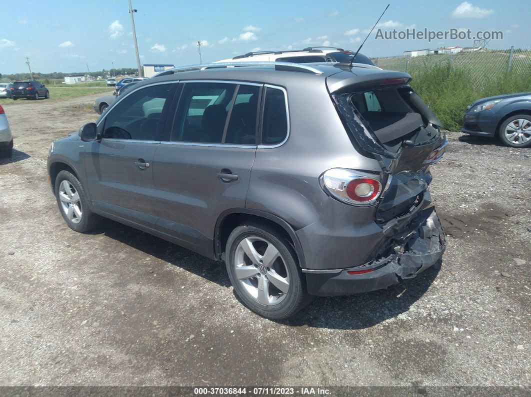 2010 Volkswagen Tiguan Wolfsburg Gray vin: WVGBV7AX6AW531129