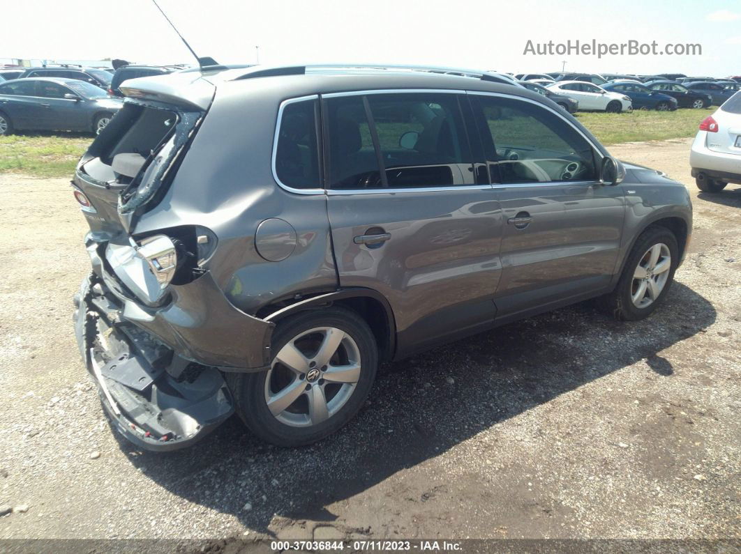 2010 Volkswagen Tiguan Wolfsburg Gray vin: WVGBV7AX6AW531129