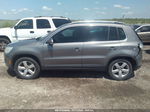 2010 Volkswagen Tiguan Wolfsburg Gray vin: WVGBV7AX6AW531129