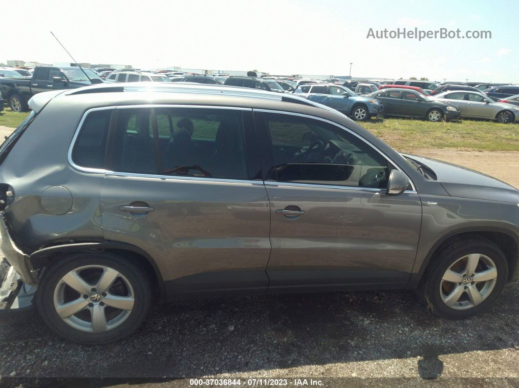 2010 Volkswagen Tiguan Wolfsburg Gray vin: WVGBV7AX6AW531129