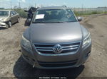 2010 Volkswagen Tiguan Wolfsburg Gray vin: WVGBV7AX6AW531129