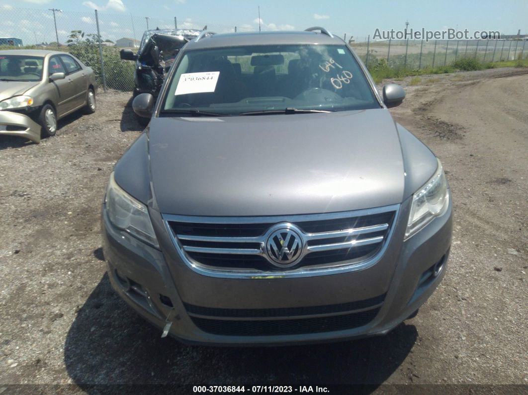 2010 Volkswagen Tiguan Wolfsburg Серый vin: WVGBV7AX6AW531129