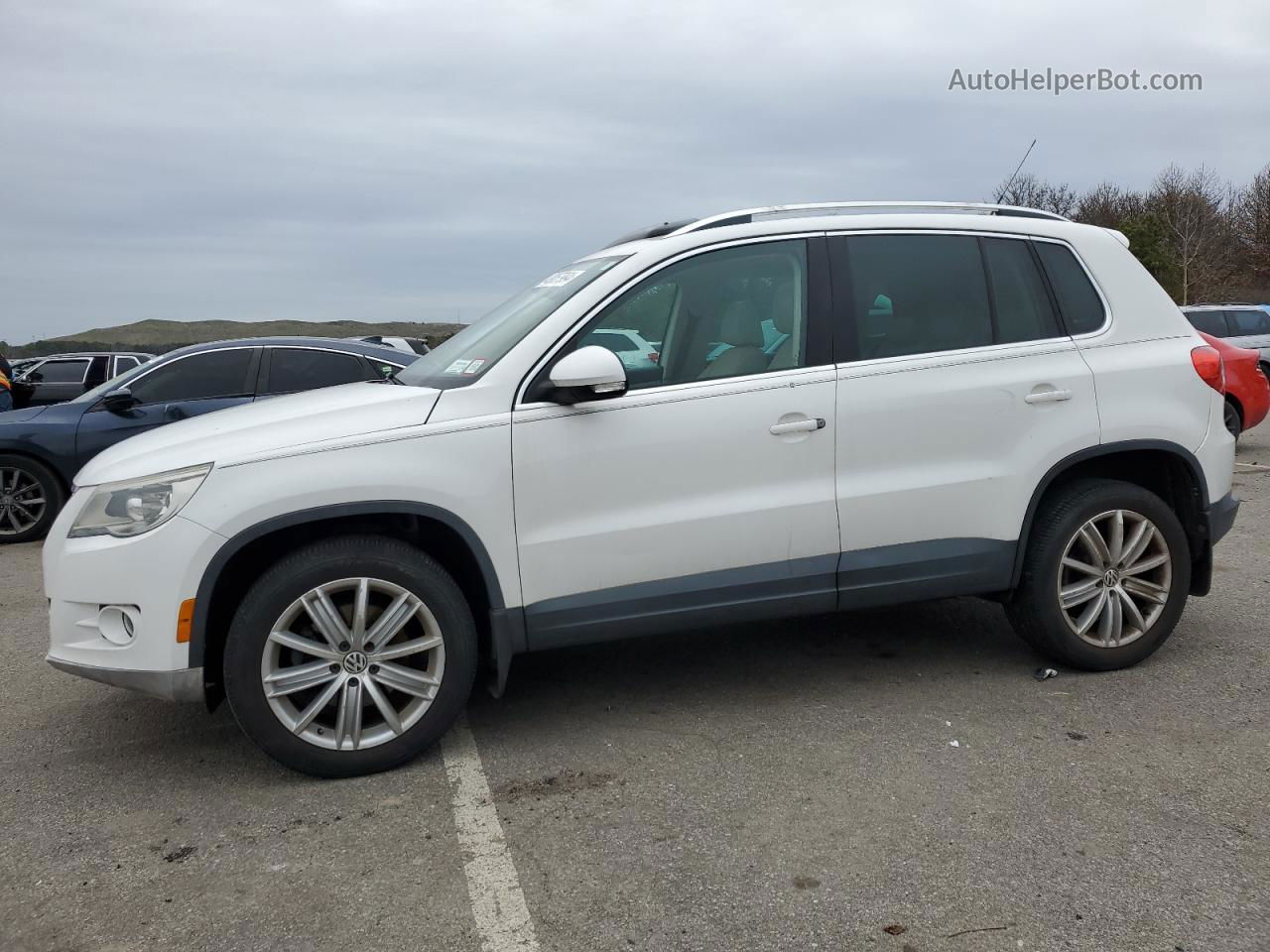 2010 Volkswagen Tiguan Se White vin: WVGBV7AX6AW531972