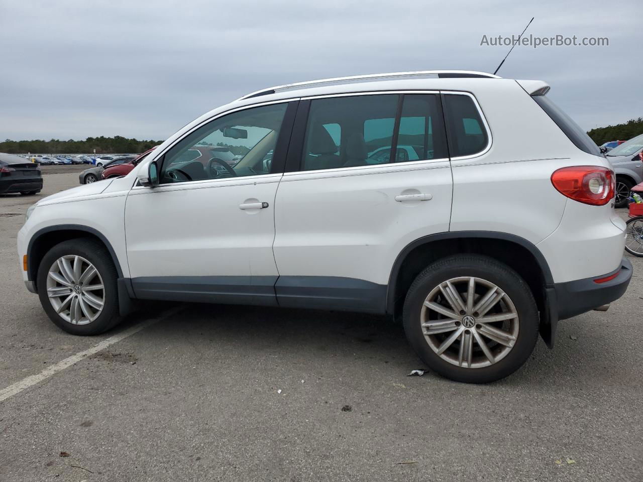 2010 Volkswagen Tiguan Se White vin: WVGBV7AX6AW531972