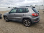 2010 Volkswagen Tiguan Se Gray vin: WVGBV7AX6AW533737