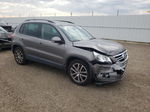 2010 Volkswagen Tiguan Se Gray vin: WVGBV7AX6AW533737