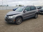 2010 Volkswagen Tiguan Se Gray vin: WVGBV7AX6AW533737