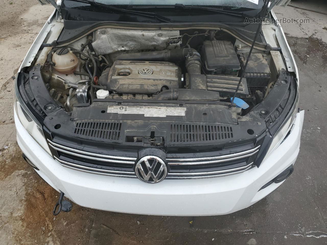 2013 Volkswagen Tiguan S Белый vin: WVGBV7AX6DW534651