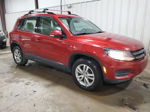 2016 Volkswagen Tiguan S Burgundy vin: WVGBV7AX6GW051732