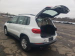 2016 Volkswagen Tiguan S White vin: WVGBV7AX6GW597866