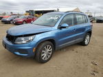 2017 Volkswagen Tiguan S Blue vin: WVGBV7AX6HK047849