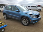 2017 Volkswagen Tiguan S Blue vin: WVGBV7AX6HK047849