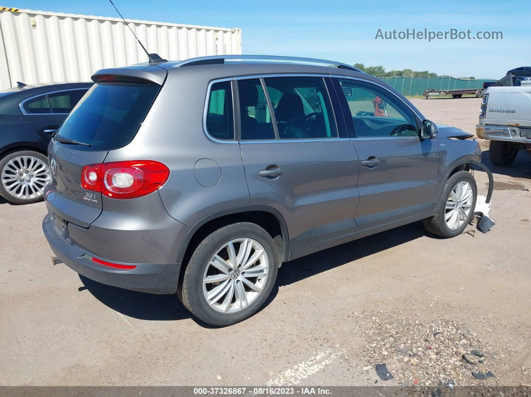 2010 Volkswagen Tiguan Wolfsburg Gray vin: WVGBV7AX7AW514484