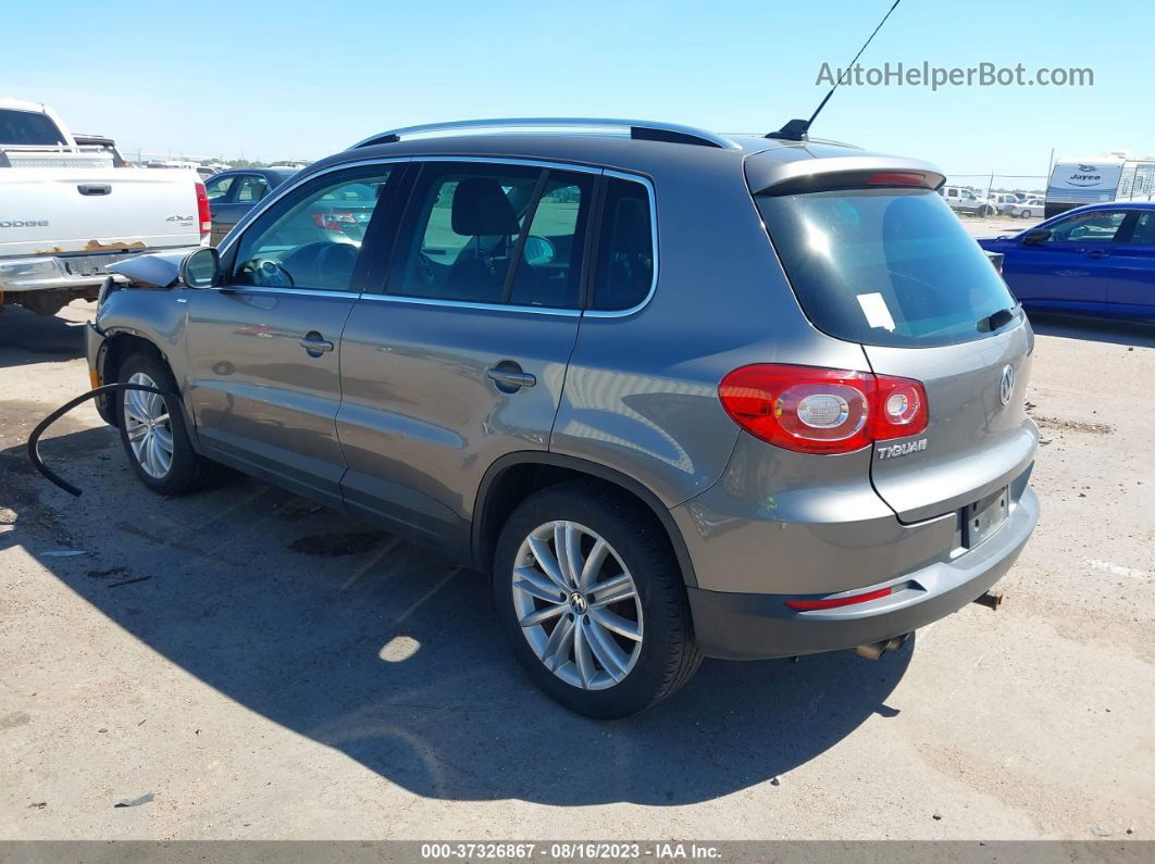 2010 Volkswagen Tiguan Wolfsburg Gray vin: WVGBV7AX7AW514484