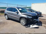 2010 Volkswagen Tiguan Wolfsburg Gray vin: WVGBV7AX7AW514484