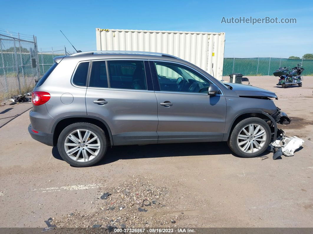 2010 Volkswagen Tiguan Wolfsburg Gray vin: WVGBV7AX7AW514484