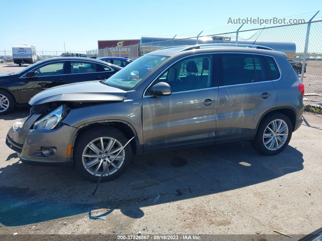 2010 Volkswagen Tiguan Wolfsburg Gray vin: WVGBV7AX7AW514484